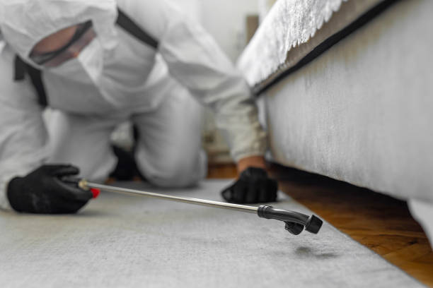 Professional Bed Bug Control technician working in Sequoyah County County, OK